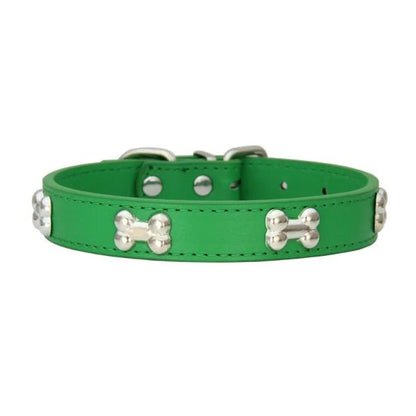 Collier cuir chien vert fun et stylé