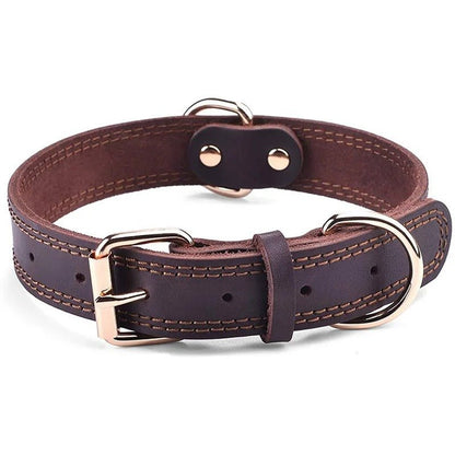 collier cuir chien⎥ClassCuir™ - Compagnon du chien