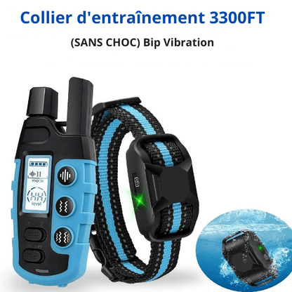 collier de dressage chien bip vibration étanche pour nage DressageTouch
