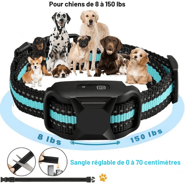 collier de dressage chien s’adapte a toutes tailles DressageTouch