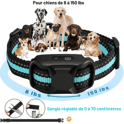 collier de dressage chien s’adapte a toutes tailles DressageTouch