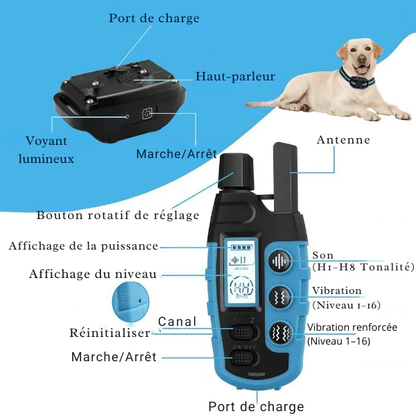 collier de dressage chien fonctions et commandes intuitives DressageTouch