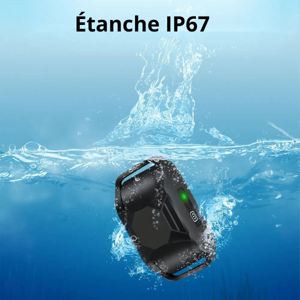 collier de dressage chien fonctionne sous l’eau totalement étanche DressageTouch