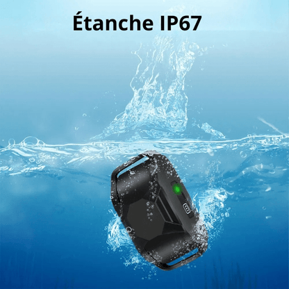 collier de dressage chien fonctionne sous l’eau totalement étanche DressageTouch
