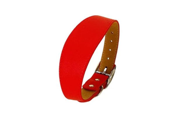 Colliers cuir pour chiens, rouge tendance, robustesse maximum, Look Cuir