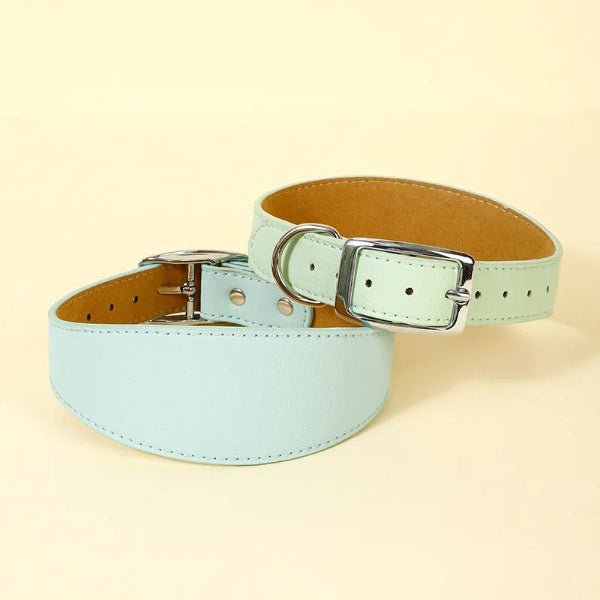 Colliers cuir pour chiens, double modèle bleu, boucle élégante, Look Cuir