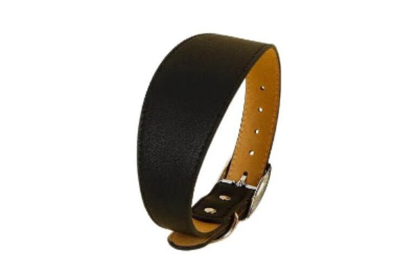 Colliers cuir pour chiens, collier noir épais, solidité style, Look Cuir