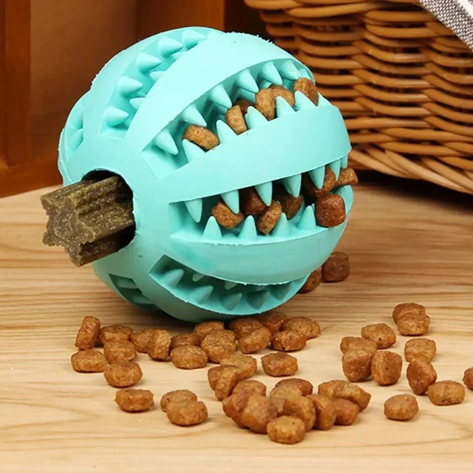 DogToyBall™ - Cyan - Compagnon du chien