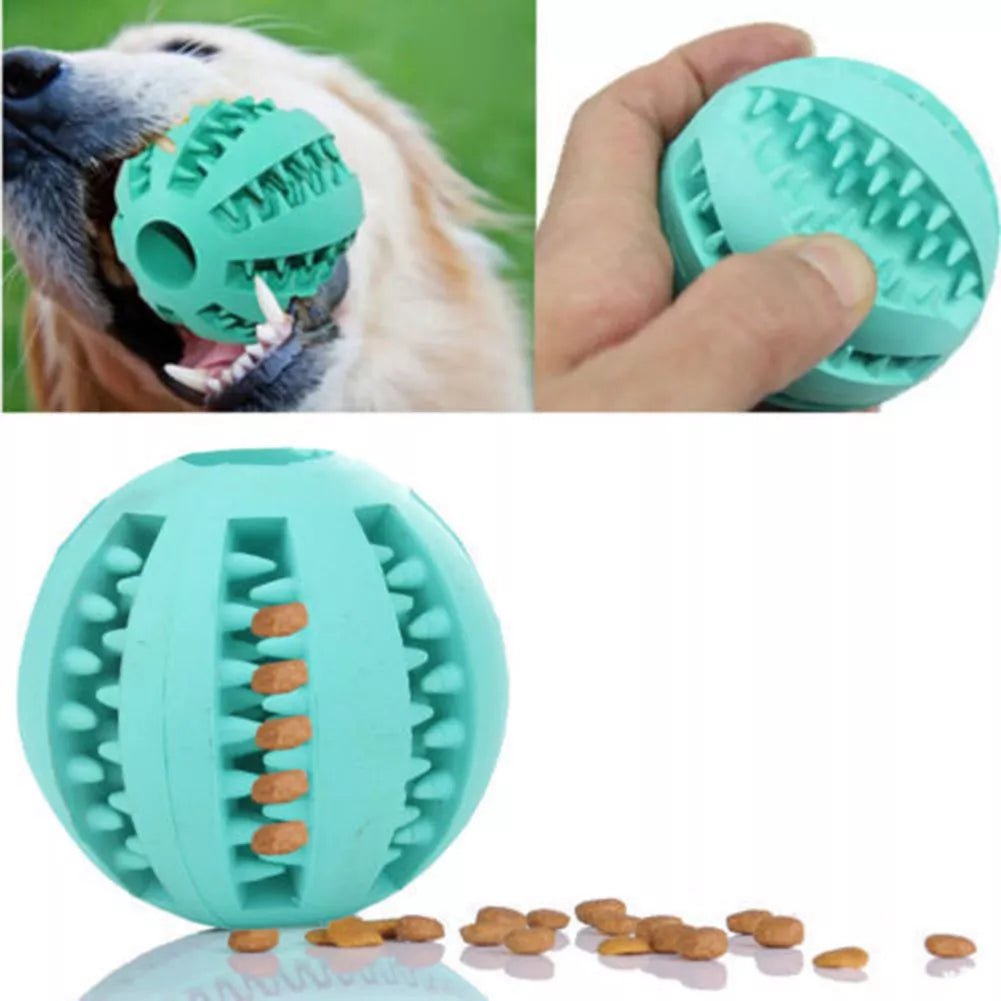 DogToyBall™ - Cyan - Compagnon du chien