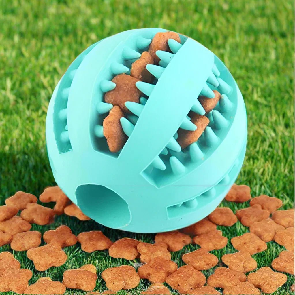 DogToyBall™ - Cyan - Compagnon du chien