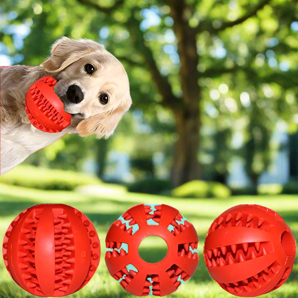 DogToyBall™ - Rouge - Compagnon du chien