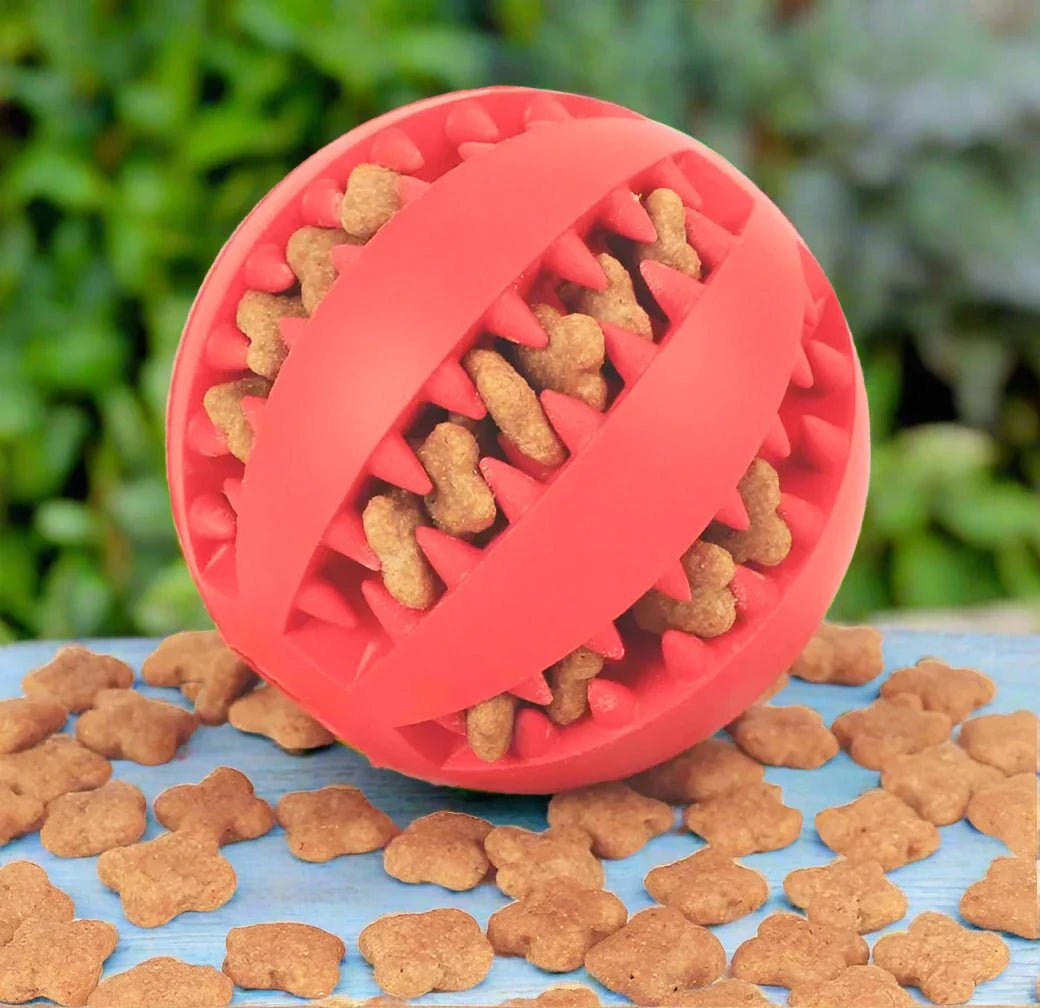 DogToyBall™ - Rouge - Compagnon du chien