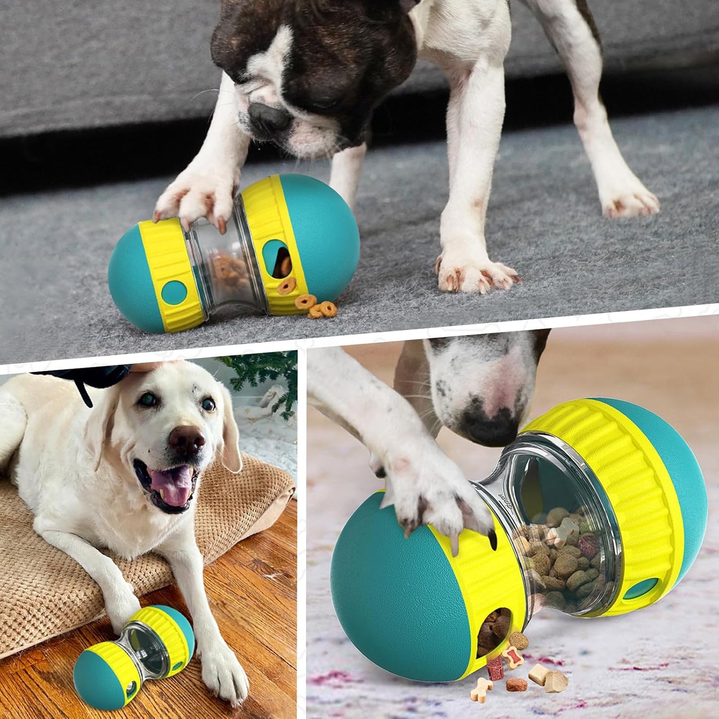 EllipticalDogPuzzleToy™ - Turquoise - Compagnon du chien