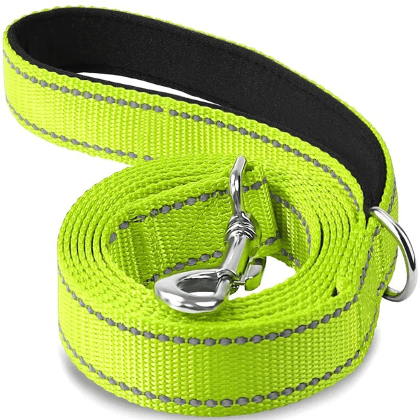 laisse chien vert fluo, couture reflechissante forte, sécurité accrue, DuraSafe