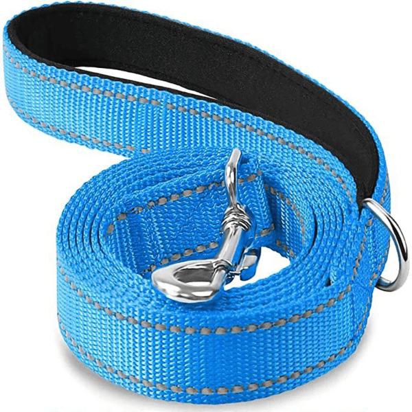 laisse chien bleue ciel longue, couture reflechissante, fermoir metallique, DuraSafe