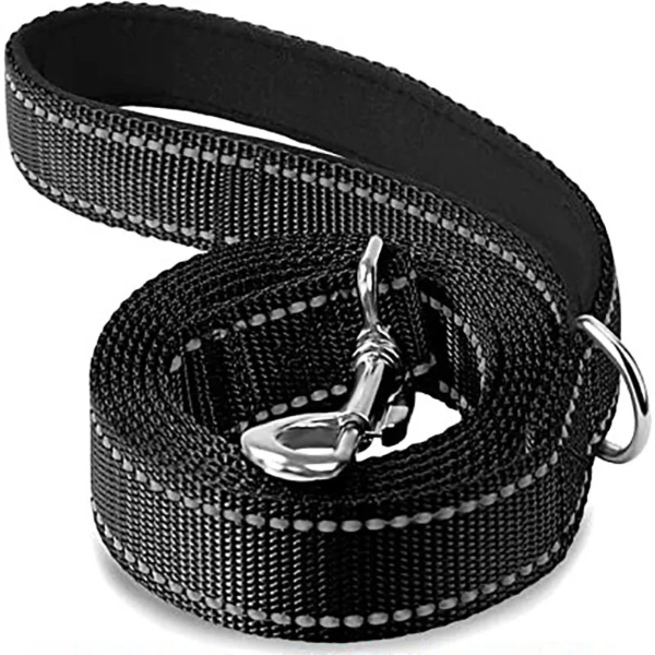 laisse chien noire solide, anneau inoxydable, fermoir brillant, DuraSafe