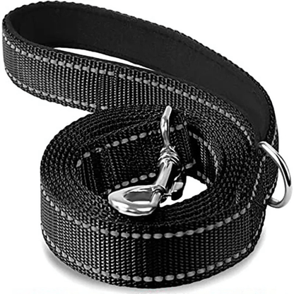 laisse chien noire solide, anneau inoxydable, fermoir brillant, DuraSafe