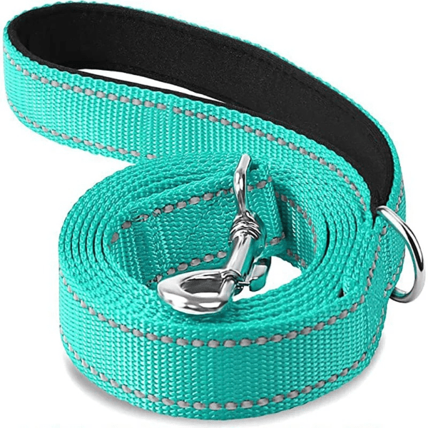 laisse chien couleur cyan reflechissante, poignee douce, anneau solide, DuraSafe