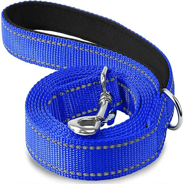 laisse chien bleu profond, couture reflechissante, fermoir brillant, DuraSafe