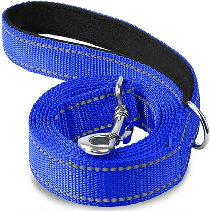 laisse chien bleu profond, couture reflechissante, fermoir brillant, DuraSafe