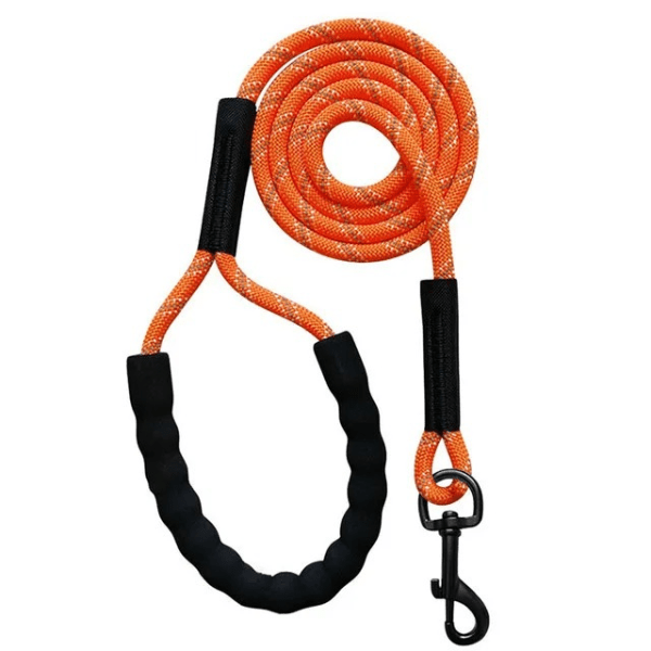 laisse longe pour chien orange solide poignée mousse antidérapante, Freedom Explorer