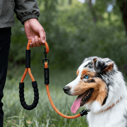 laisse longe pour chien orange poignée main prise confortable, Freedom Explorer
