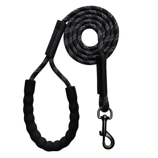 laisse longe pour chien noire poignée mousse robuste mousqueton sûr, Freedom Explorer