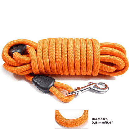 longe chien orange diamètre épais garantit grande solidité fiable FreeWalk.