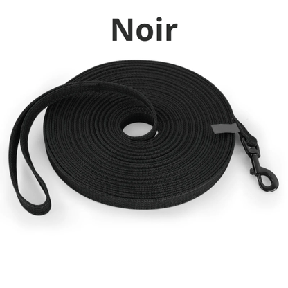 longe chiens noire, boucle robuste et texture lisse. PawFreedom