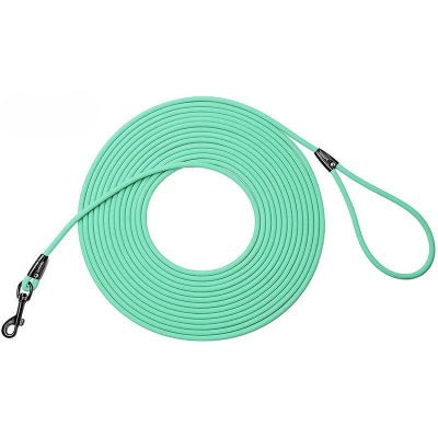 longe pour chien bleu clair roulee proprement avec poignee bouclee et mousqueton, ideale pour promenade securisee