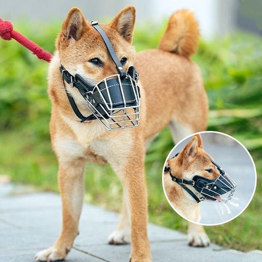 muselier chien shiba vue double muselière acier sécurisée Confort Premium